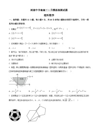 精品解析：四川省成都市樹德中學(xué)高三上學(xué)期1月模擬檢測(cè)理科數(shù)學(xué)試題