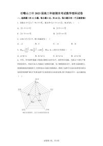 宁夏石嘴山市第三中学2022-2023学年高三上学期期末考试数学（理）试题