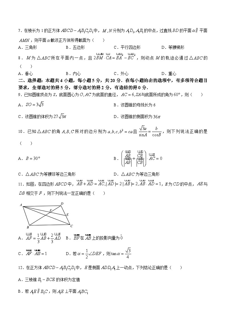 2024成都外国语学校高二上学期9月月考数学试题含答案第2页
