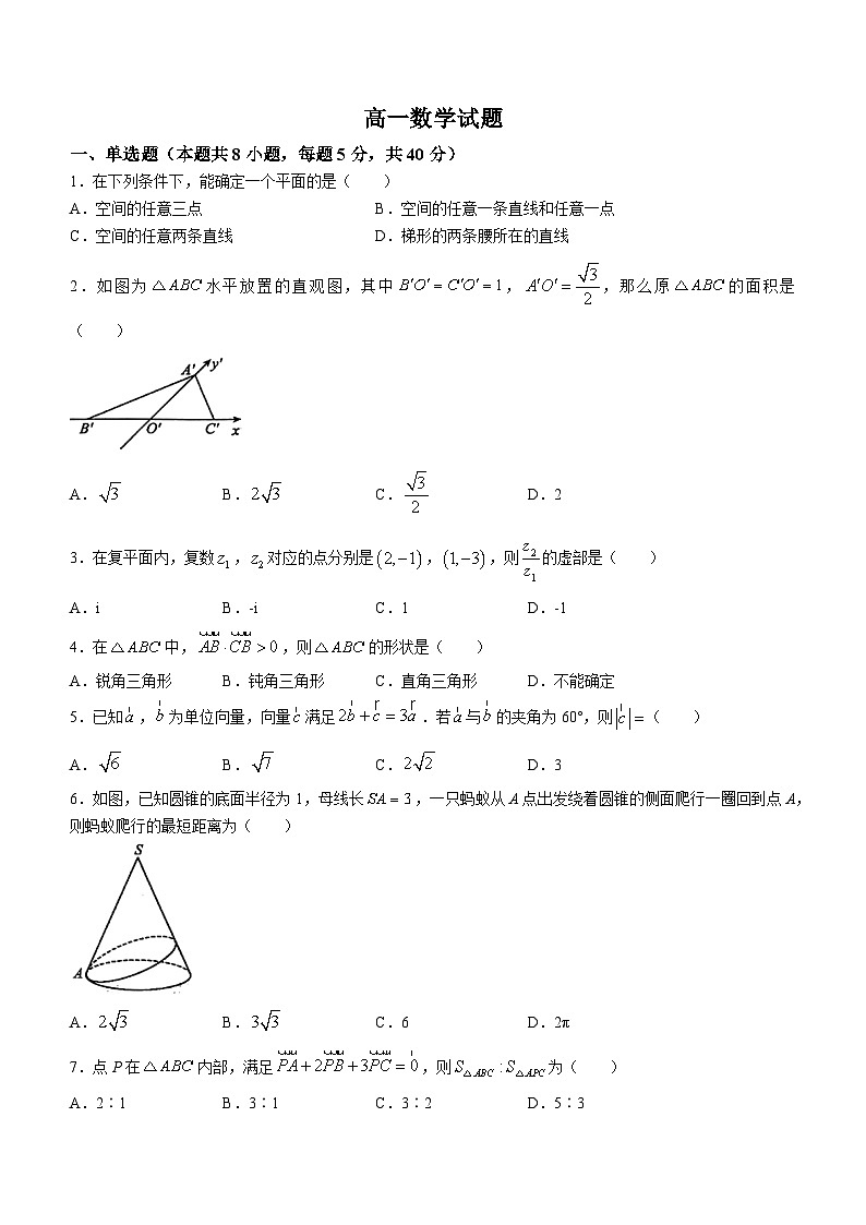 山东省鄄城县第一中学2022-2023学年高一下学期4月月考数学试题01