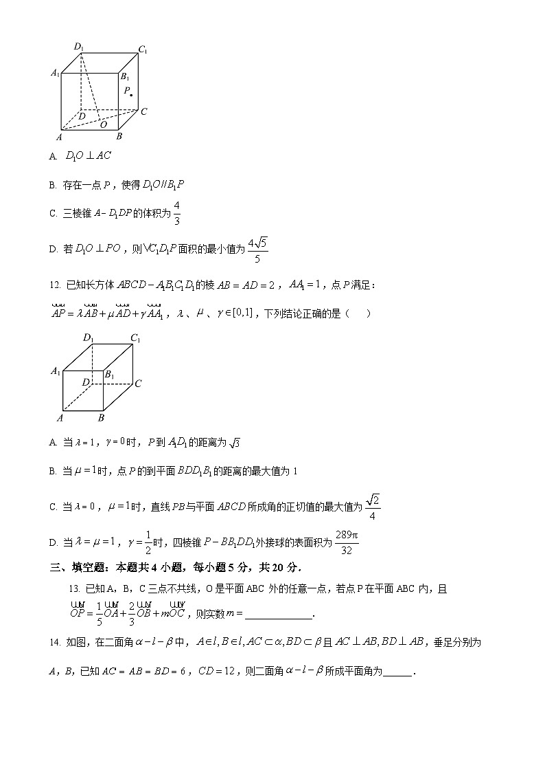 2024荆州沙中学高二上学期9月月考数学试题含解析03