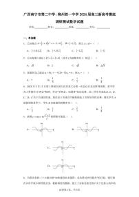 广西南宁市第二中学、柳州铁一中学2024届高三新高考摸底调研测试数学试题