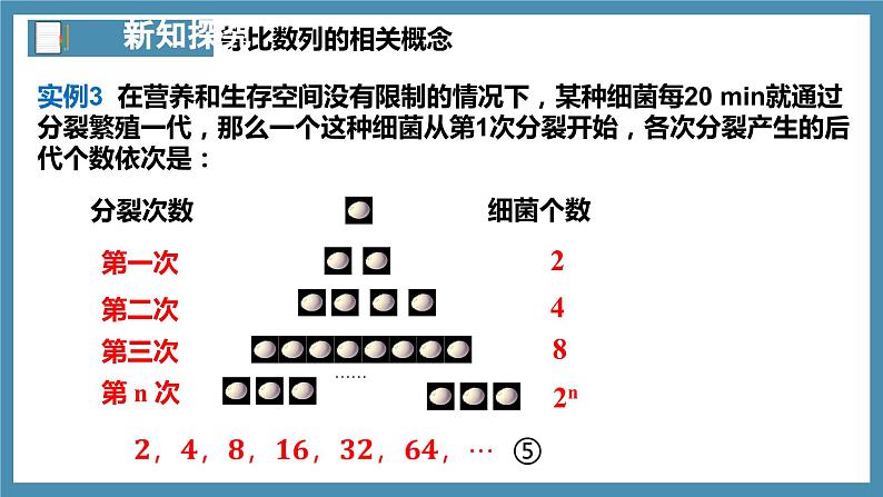 4.3.1等比数列的概念(第1课时)课件-高中数学人教A版(2019)选择性必修第二册08