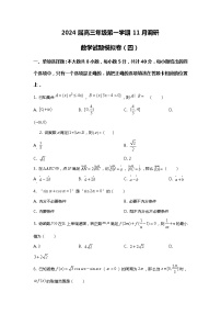 2024届高三年级第一学期11月调研数学试题模拟卷（原卷+解析）四