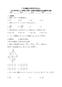 广东省肇庆市两所中学2022-2023学年高二上学期11月第一次教学质量联合检测数学试卷(含答案)