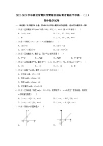 2022-2023学年湖北省黄冈市黄梅县国际育才高级中学高一(上)期中数学试卷