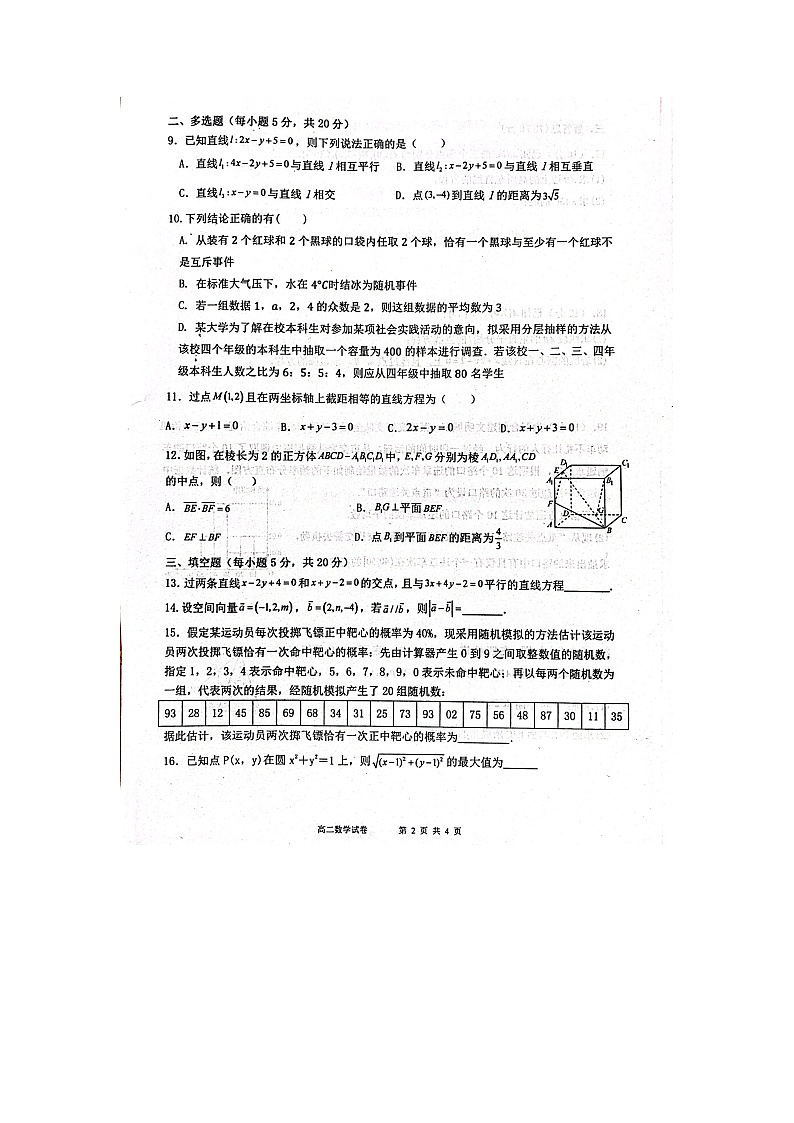 宁夏回族自治区吴忠市吴忠中学2023-2024学年高二上学期11月期中考试数学试题第2页