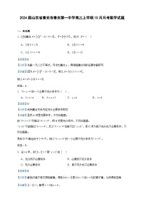 2024届山东省泰安市泰安第一中学高三上学期10月月考数学试题含解析