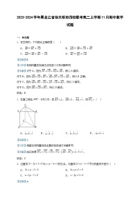 2023-2024學(xué)年黑龍江省佳木斯市四校聯(lián)考高二上學(xué)期11月期中數(shù)學(xué)試題含答案