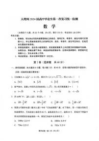 2024届云南大理州高三第一次复习统一检测数学试题（含答案）
