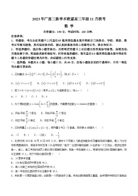 2024广西三新学术联盟高三上学期11月联考试题数学含解析