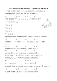 2023-2024学年安徽省芜湖市高二上学期期中联考数学试卷(含解析 )