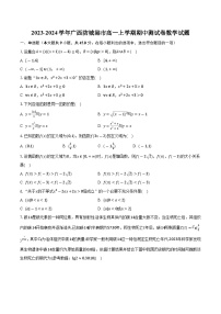 2023-2024学年广西防城港市高一上学期期中测试卷数学试题(含解析 )
