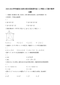 2023-2024學(xué)年黑龍江省佳木斯市四校聯(lián)考高二上學(xué)期11月期中數(shù)學(xué)試題（含解析）