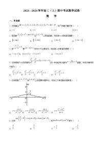 福建省厦门湖滨中学2024届高三上学期数学期中考试卷（附解析版）