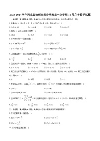 2023-2024学年河北省沧州市部分学校高一上学期11月月考数学试题（含解析）