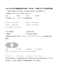 2023-2024学年湖南省郴州市第一中学高一上学期10月月考数学试题(含解析)