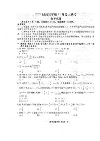 廣東省江門市2024屆高三上學(xué)期11月大聯(lián)考數(shù)學(xué)試卷（含答案）