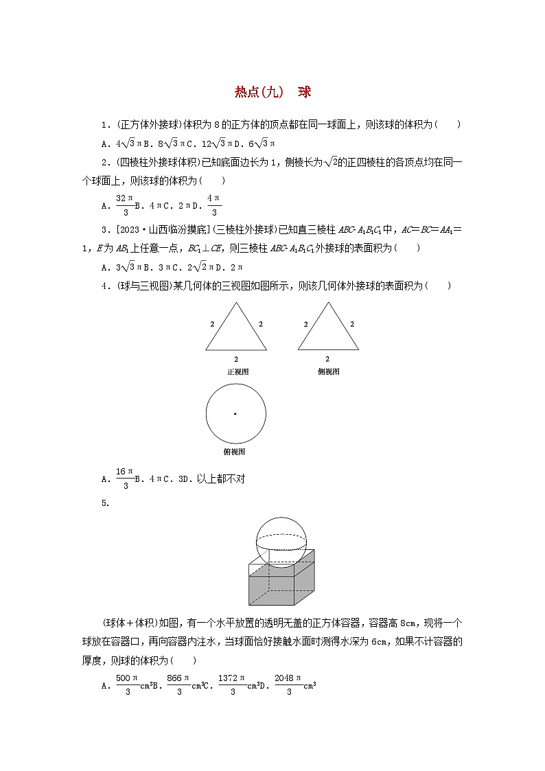 统考版2024届高考数学二轮专项分层特训卷四热点问题专练热点九球文(附解析)第1页