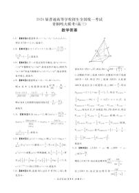 2024届河南青桐鸣高三上学期12月大联考数学试题+答案