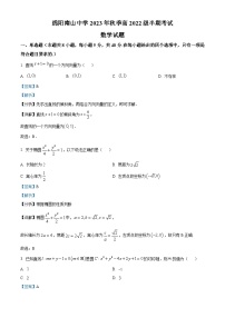 四川省绵阳南山中学2023-2024学年高二上学期期中考试数试题（Word版附解析）