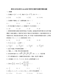 黑龙江省佳木斯市2024届高三第四次调研考试数学模拟试题（含答案）