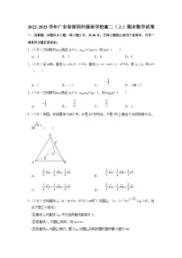 2022-2023学年广东省深圳外国语学校高二（上）期末数学试卷（含答案详解）