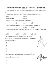 2023-2024学年广东省江门市新会一中高二(上)期中数学试卷(含解析)