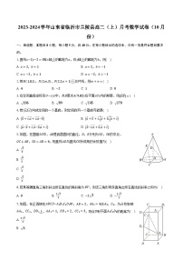 2023-2024学年山东省临沂市兰陵县高二（上）月考数学试卷（10月份）（含解析）