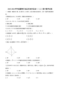 2023-2024学年新疆喀什地区英吉沙县高二（上）期中数学试卷（含解析）