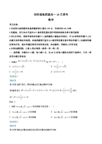 河南省洛阳市强基联盟2023-2024学年高一上学期10月联考数学试题（Word版附解析）