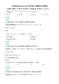 黑龙江省大庆市大庆实验中学2022-2023学年高一上学期期末数学试题