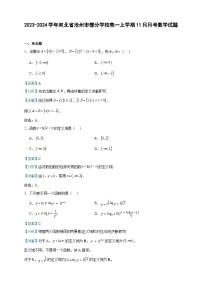 2023-2024学年河北省沧州市部分学校高一上学期11月月考数学试题含答案