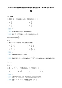 2023-2024学年陕西省渭南市蒲城县蒲城中学高二上学期期中数学试题含答案