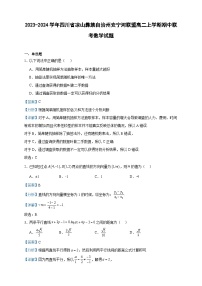2023-2024学年四川省凉山彝族自治州安宁河联盟高二上学期期中联考数学试题含答案
