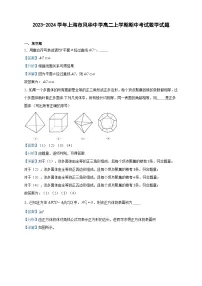 2023-2024学年上海市风华中学高二上学期期中考试数学试题含答案