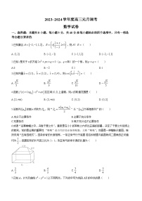 湖北省武汉市江岸区2023-2024高三上学期元月调研考试数学试题及答案