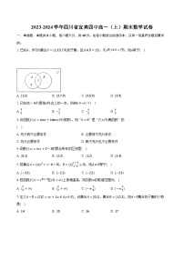 2023-2024学年四川省宜宾四中高一（上）期末数学试卷（含解析）