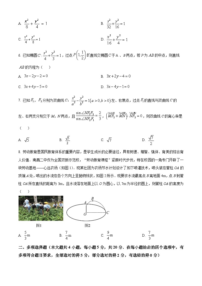 2023-2024学年江西省南昌市第二中学高二上学期第二次月考数学试题02