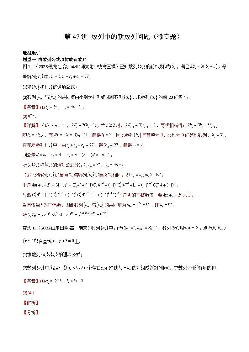 第47讲 数列中的新数列问题(微专题)(解析版)第1页