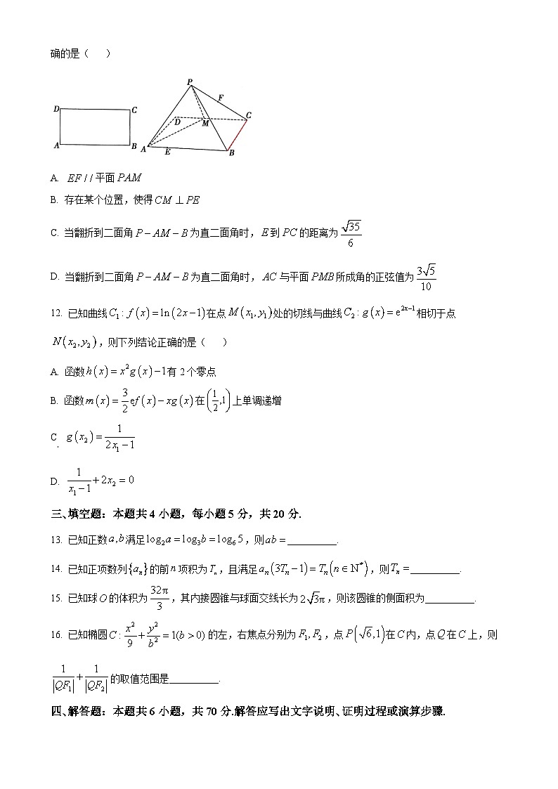 2024泰安高三上学期期末考试数学含解析第3页
