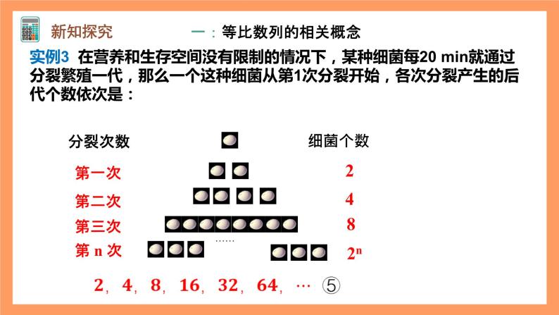 人教A版（2019）高中数学选修二 4.3.1《等比数列的概念》第一课时 课件08