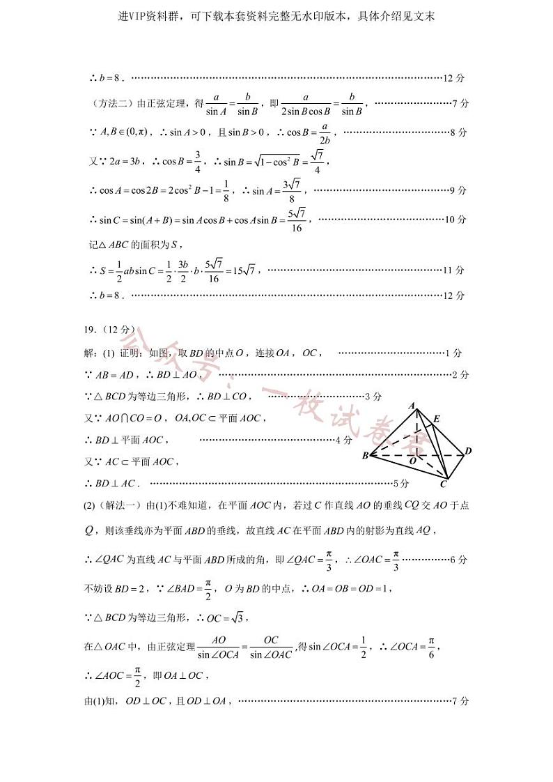 广东省深圳实验,湛江一中,珠海一中2023-2024学年高三12月联考数学答案第3页
