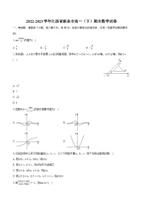 2022-2023学年江西省新余市高一（下）期末数学试卷（含详细答案解析）