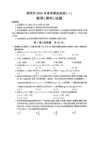 陕西省咸阳市2023-2024高三上学期高考模拟检测（一）理科数学试卷及答案