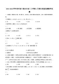 2023-2024学年贵州省六盘水市高二上学期1月期末质量监测数学试题(含解析)