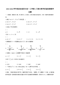 2023-2024学年陕西省咸阳市高一上学期1月期末教学质量检测数学试题(含解析）