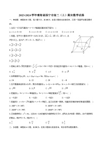 2023-2024学年青海省西宁市高二（上）期末数学试卷（含解析）