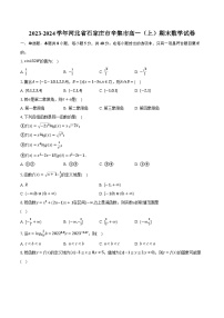 2023-2024学年河北省石家庄市辛集市高一（上）期末数学试卷(含解析）