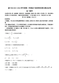 贵州省毕节市威宁县2023-2024学年高二上学期高中素质教育期末测试数学试卷